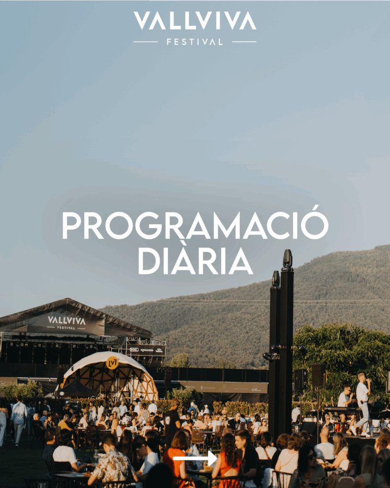Programació 2025_Mesa de trabajo 1